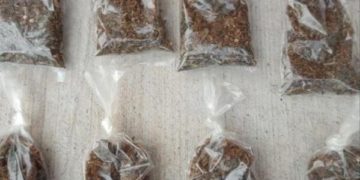 Caen dos con marihuana en Lázaro Cárdenas
