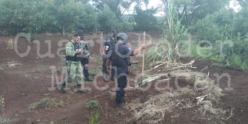 Encuentra fosa clandestina con un cadáver en Cotija