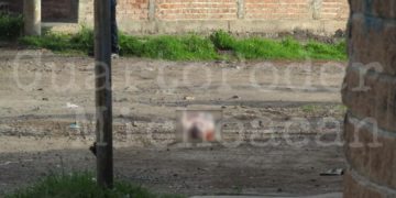 Abandonan cabeza humana en Zamora