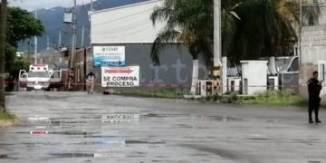 Asesinan a mujer afanadora en Zamora