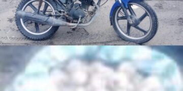 Detiene a traficante de huevos de tortuga en Lázaro Cárdenas