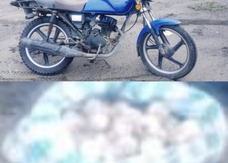 Detiene a traficante de huevos de tortuga en Lázaro Cárdenas