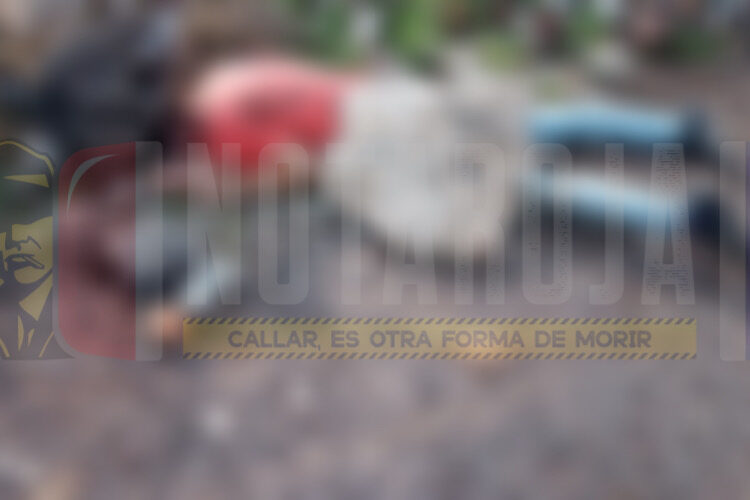 Encuentran 53 huesos humanos en “narcofosa” en Coahuayana