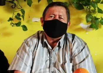 Javier Maldonado podría ser candidato del PVEM