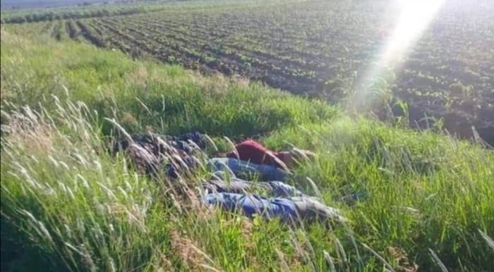 Ejecutaron a 7 albañiles de Ocampo en Jerécuaro, Guanajuato