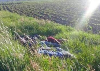 Ejecutaron a 7 albañiles de Ocampo en Jerécuaro, Guanajuato