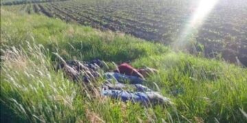 Ejecutaron a 7 albañiles de Ocampo en Jerécuaro, Guanajuato