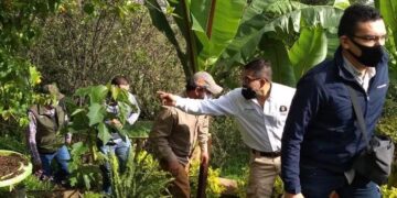 Ya buscan a puma en Loma de Santa María