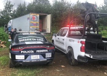 Recuperan tráiler robado con 57 mil dólares en aguacate