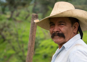 Federación constata avance de Sembrando Vida en Michoacán