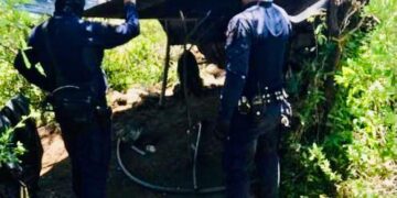 Descubren “narcocampamento” en Tarímbaro