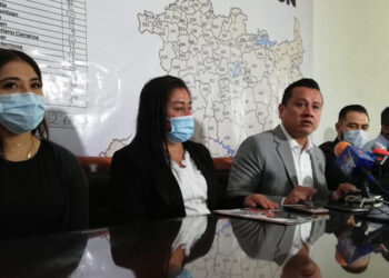 Seguridad en Michoacán sufrirá recorte de 700 millones: Torres Piña