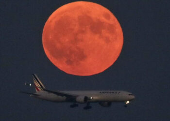 Sicarios balean a jóvenes en Jardines de Guadalupe; un muerto y un herido