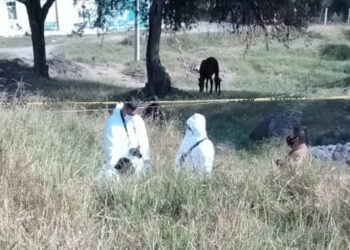 Asaltan otra gasolinera en Lázaro Cárdenas