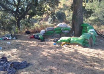 Descubren “narcocampamento” en sierra de Coalcomán