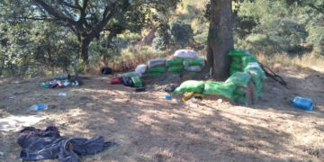 Descubren “narcocampamento” en sierra de Coalcomán