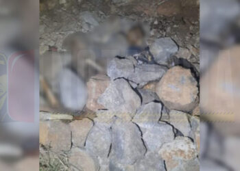 Encuentran osamenta en Villas de la Loma