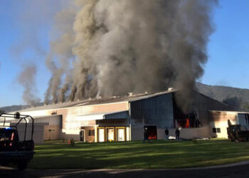 Sicarios balean e incendian empacadoras en Tingüindín y Peribán