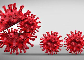 Detectan en Tamaulipas nueva cepa de coronovaris