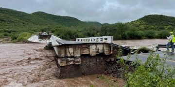 Asesinan a empresario del puerto de Lázaro Cárdenas