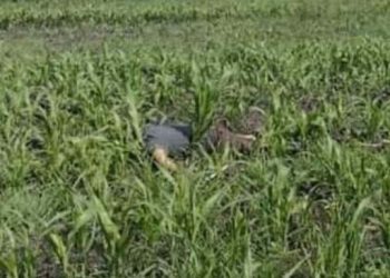 Cae segundo sicario por homicidio a síndico de Villa Jiménez