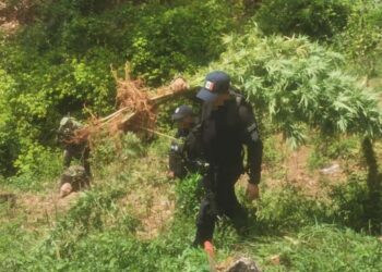 Abandonan vehículo con cadáver en Jacona