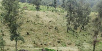 Reconoce Concamin intervención del Gobierno de Michoacán para mantener libres las vías férreas