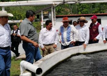 Productores cinematográficos buscan solución a incumplimientos de pagos