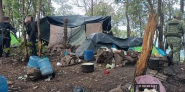 Destruyen “narcocampamento” en sierra de Coalcomán; hay un detenido