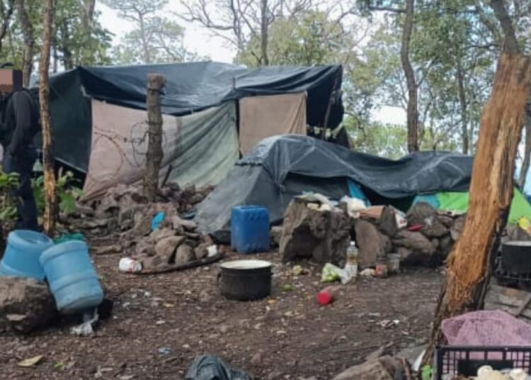 Destruyen “narcocampamento” en sierra de Coalcomán; hay un detenido