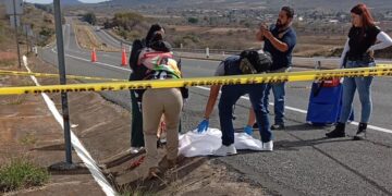 #Panindícuaro Localizan ejemplar de Puma sin vida sobre Autopista de Occidente