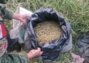 #Uruapan Durante operativo, GC SEDENA y GN localizan abandonada una bolsa con 10 kilos de marihuana