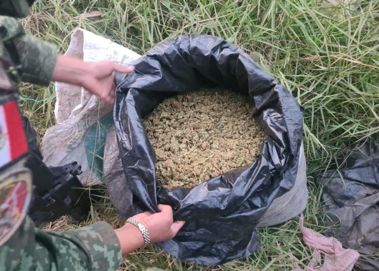 #Uruapan Durante operativo, GC SEDENA y GN localizan abandonada una bolsa con 10 kilos de marihuana