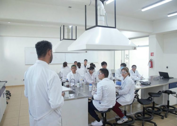 UMSNH apuesta a concretar nuevas acreditaciones; excelencia y calidad, insignia de programas nicolaitas