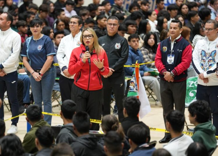 Es un proceso de ingreso “de manos limpias”, afirma Yarabí Ávila