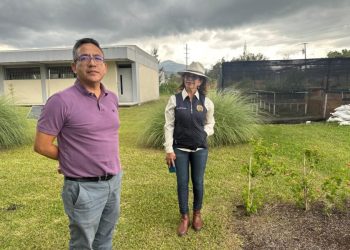 UMSNH pone en marcha proyecto de “Jardín para polinizadores”, busca abonar en el cuidado del medio ambiente