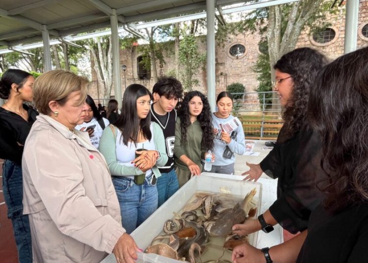 UMSNH promueve el cuidado del medio ambiente entre el estudiantado