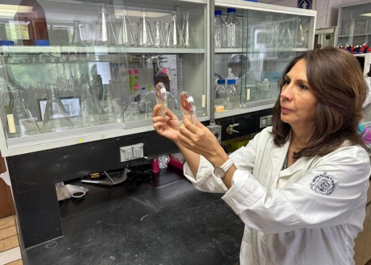 La investigadora nicolaita, Lourdes Macías, considerada como una de las mejores a nivel mundial