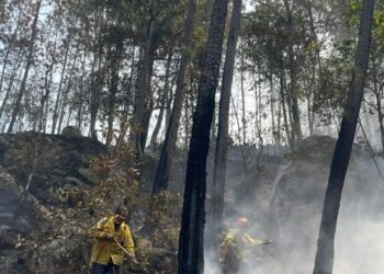 Incendio en Área Natural Protegida de Tzitzio, controlado al 100 %