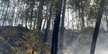 Incendio en Área Natural Protegida de Tzitzio, controlado al 100 %