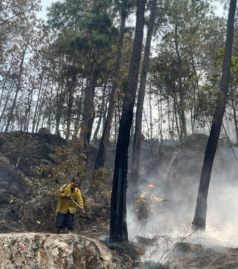 Incendio en Área Natural Protegida de Tzitzio, controlado al 100 %