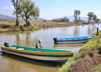 Hallazgo de tres nuevos manantiales consolidan rescate del lago de Pátzcuaro: Bedolla