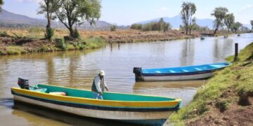 Hallazgo de tres nuevos manantiales consolidan rescate del lago de Pátzcuaro: Bedolla