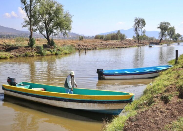 Hallazgo de tres nuevos manantiales consolidan rescate del lago de Pátzcuaro: Bedolla
