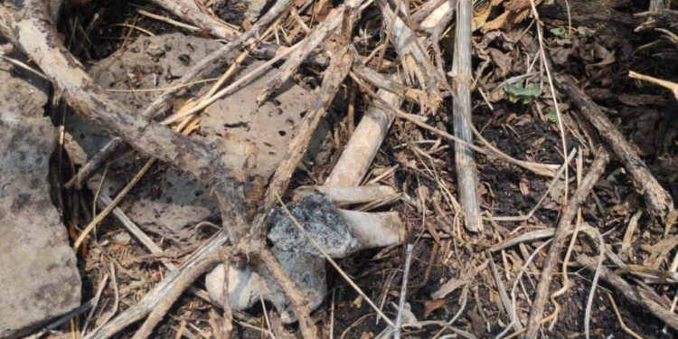 Suman 5 hallazgos de restos humanos en Zamora y Jacona
