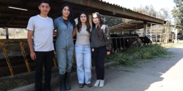 Si te apasionan los animales y la ciencia, estudia la Licenciatura como Médico Veterinario Zootecnista en la Universidad Michoacana de San Nicolás de Hidalgo