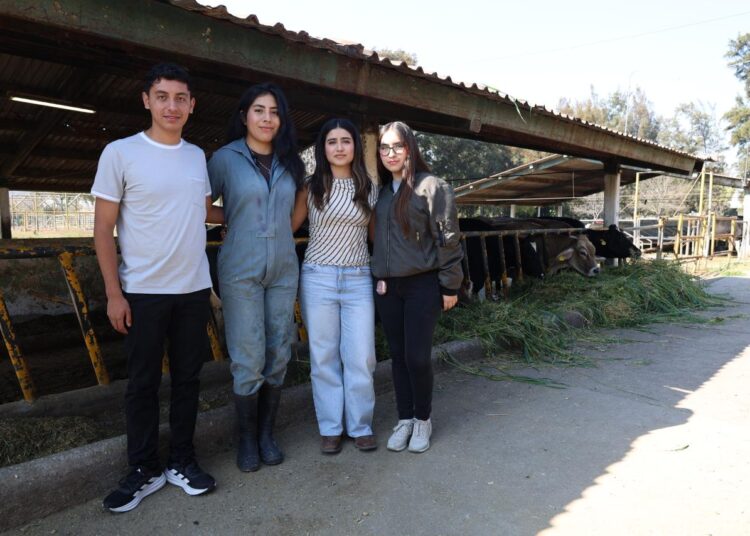 Si te apasionan los animales y la ciencia, estudia la Licenciatura como Médico Veterinario Zootecnista en la Universidad Michoacana de San Nicolás de Hidalgo
