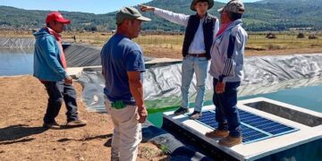 Más de 75 mdp invertidos en infraestructura hídrica para comunidades indígenas de Michoacán