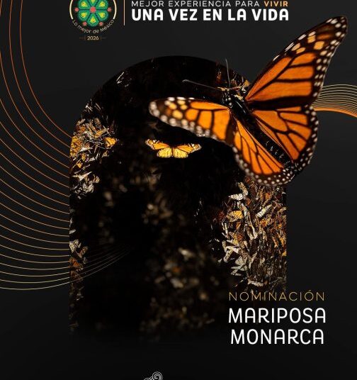 Es momento de votar! Michoacán está nominado a los premios Lo Mejor de México 2026