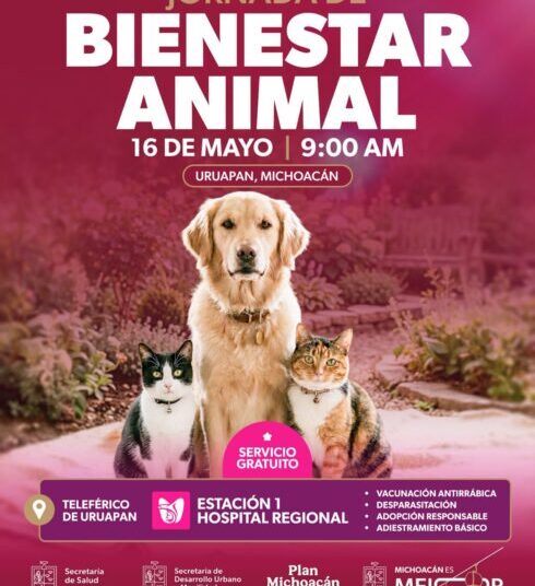 Gladyz Butanda invita a Jornada de Bienestar Animal en el teleférico de Uruapan
